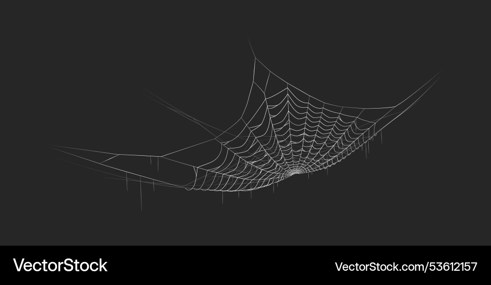 Spider web hanging in empty space realistic Spider web hanging in empty space realistic vector image