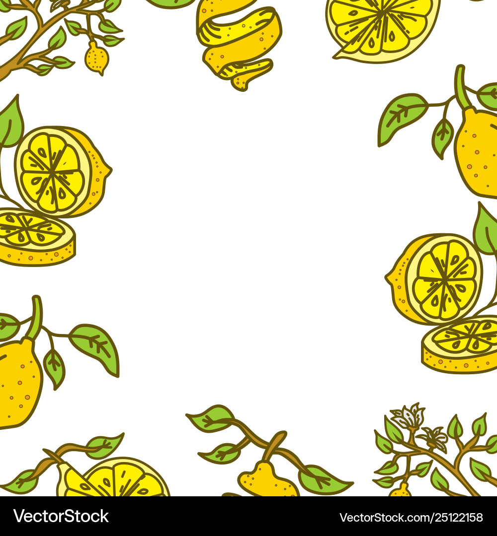 Lemon fruit frame empty template vector image