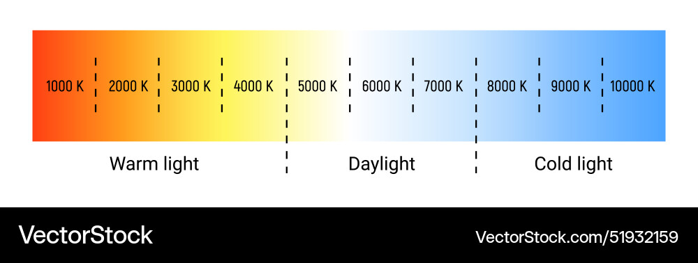 Kelvin temperature scale chart gradient Kelvin temperature scale chart gradient vector image