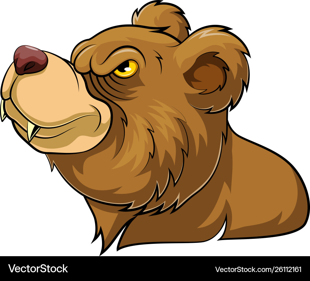 Aggressive Bear Head Vector Image