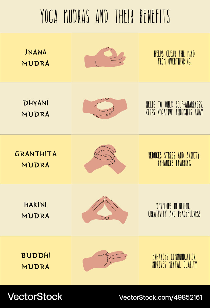 Mudras and their benefits chart infographic Mudras and their benefits chart infographic vector image