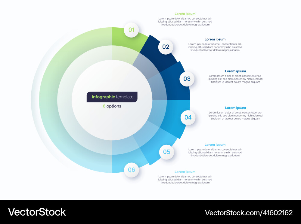 Circle Infographic Template - Data Visualization vector image