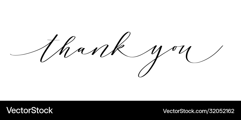 Elegant Thank You Calligraphy Vector Image