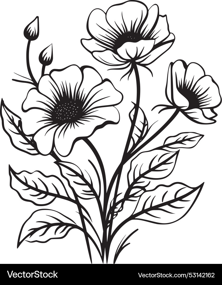 Flower Royalty Free Vector Image - VectorStock