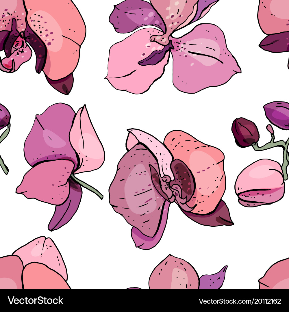 Seamless pattern with orchids endless texture fo vector image
