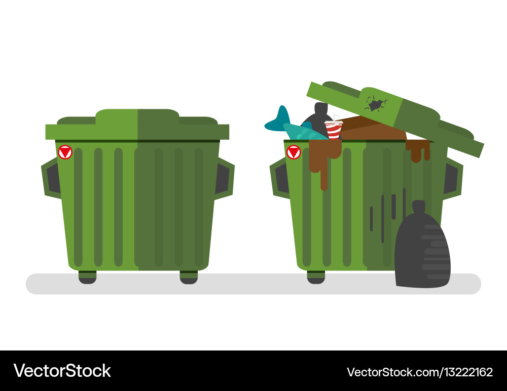Set of two waste containers empty and full Vector Image