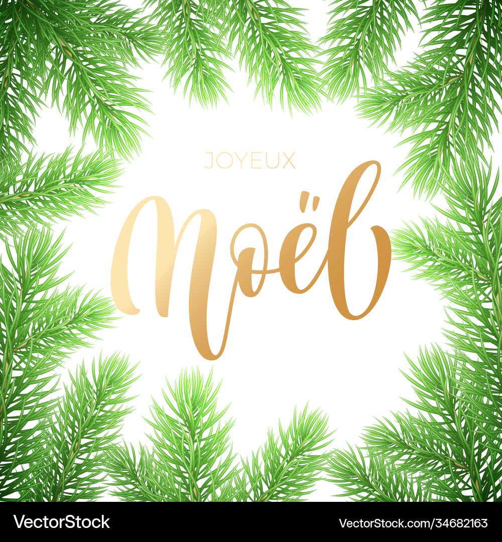 Joyeux noel french merry christmas holiday golden vector image