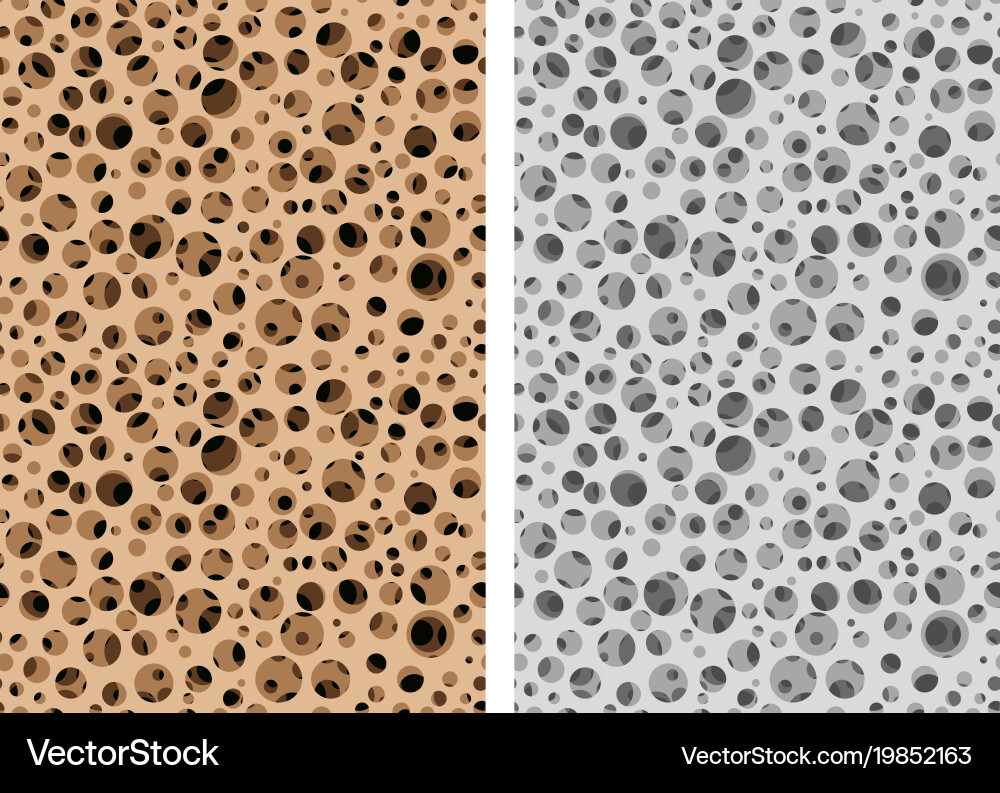 Micro Bone Surface Pattern Vector Image