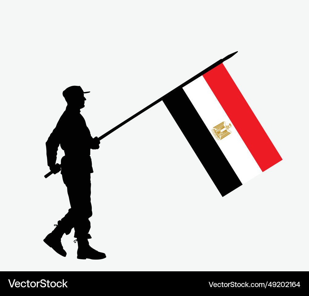 Egypt patriot soldier with flag silhouette Egypt patriot soldier with flag silhouette vector image