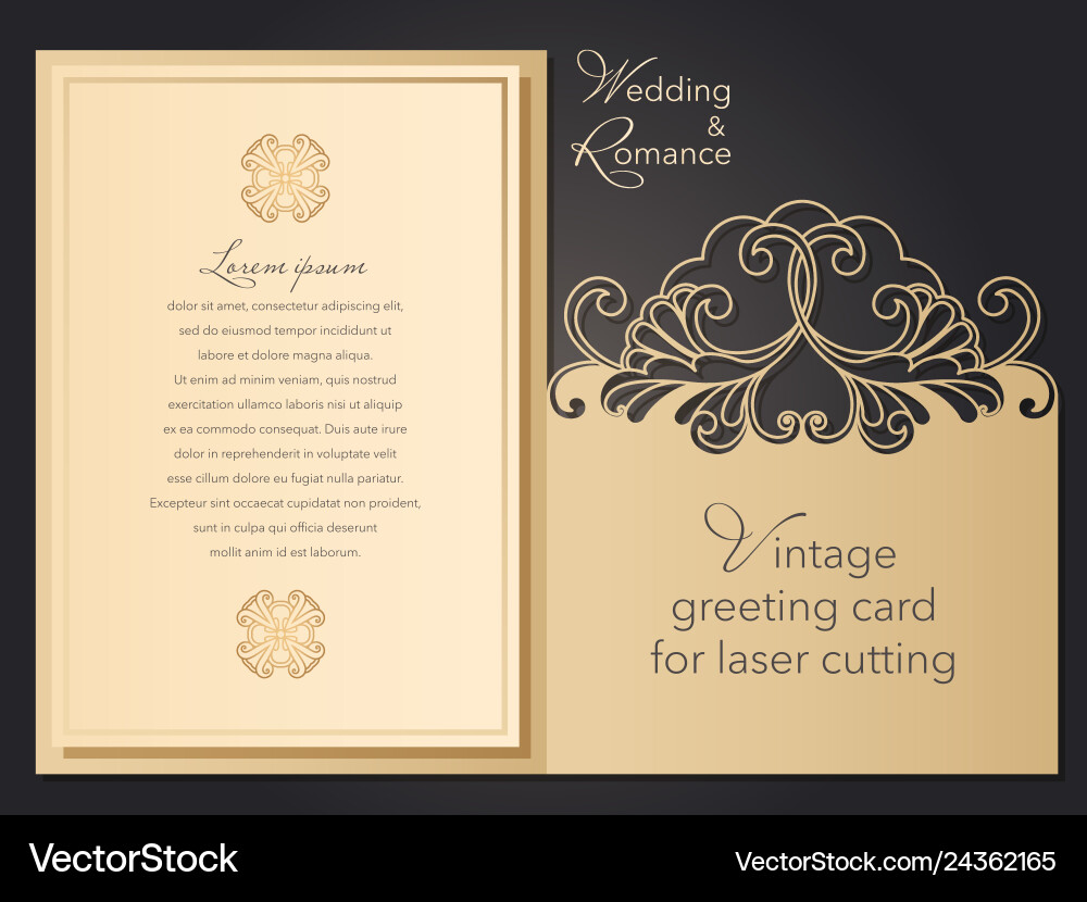 Patterned pattern for laser cutting openwork Vector Image