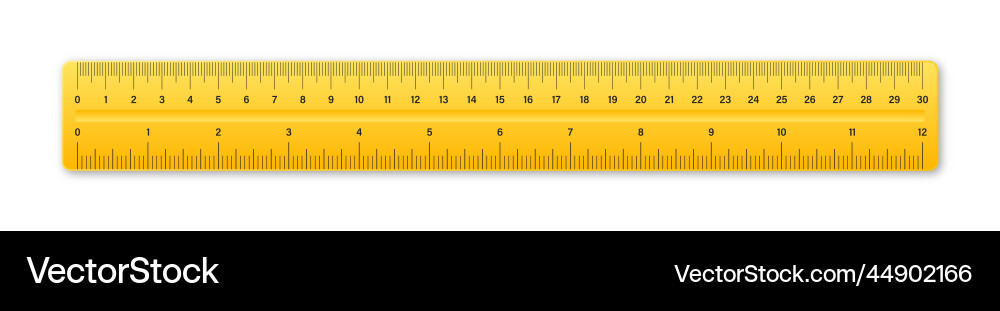 Realistic plastic ruler with measurement scale Vector Image
