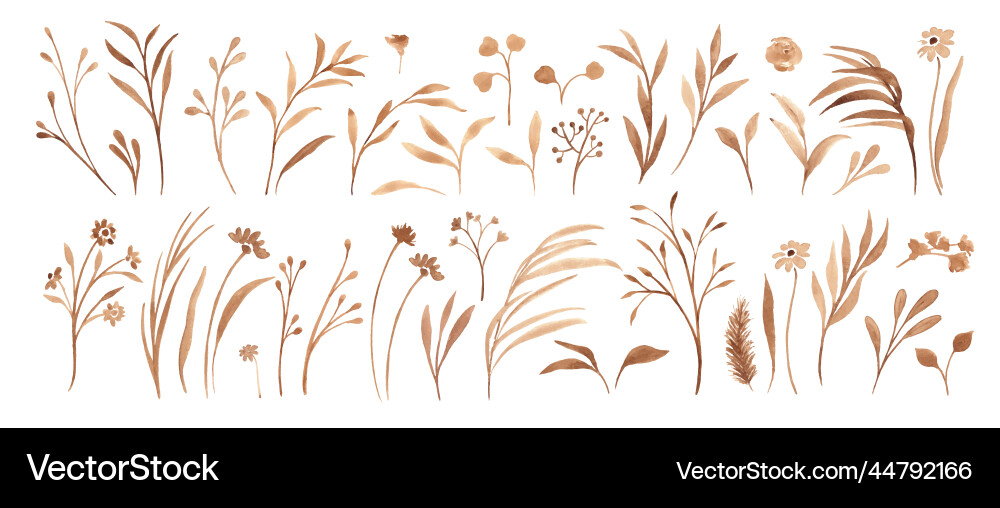 Set of beige sepia plants herbs flowers leaves Set of beige sepia plants herbs flowers leaves vector image
