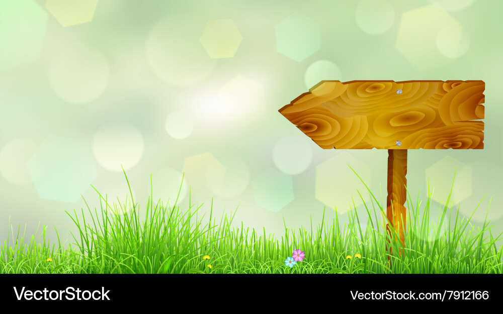 Spring background vector image