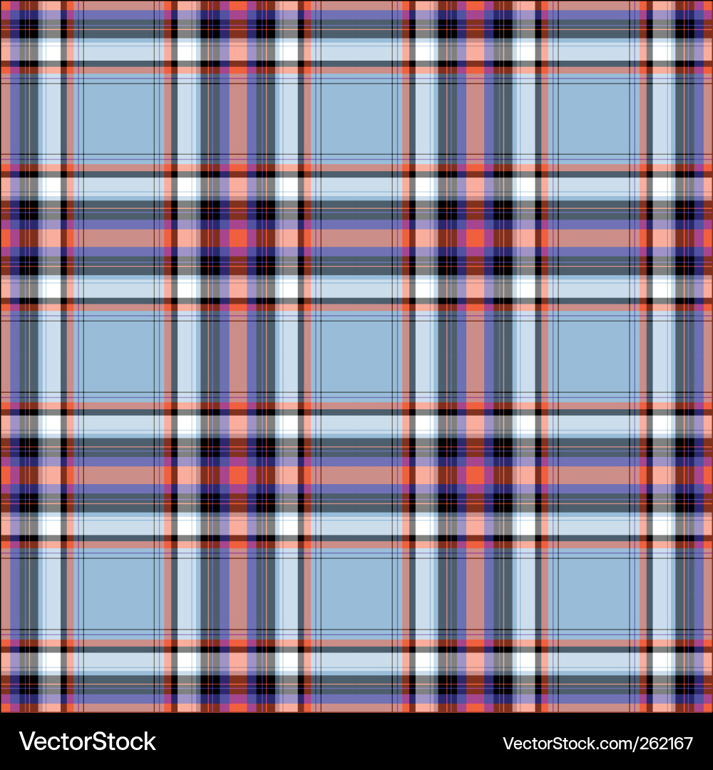 Fabric texture with squares vector image