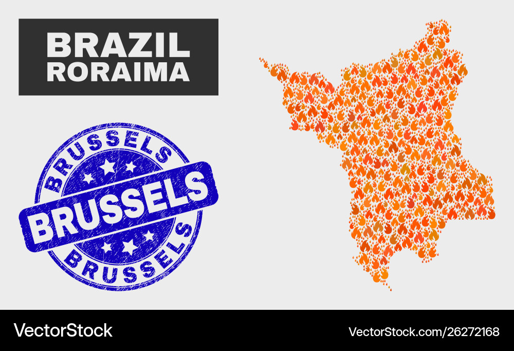 Flamed mosaic roraima state map and grunge Vector Image