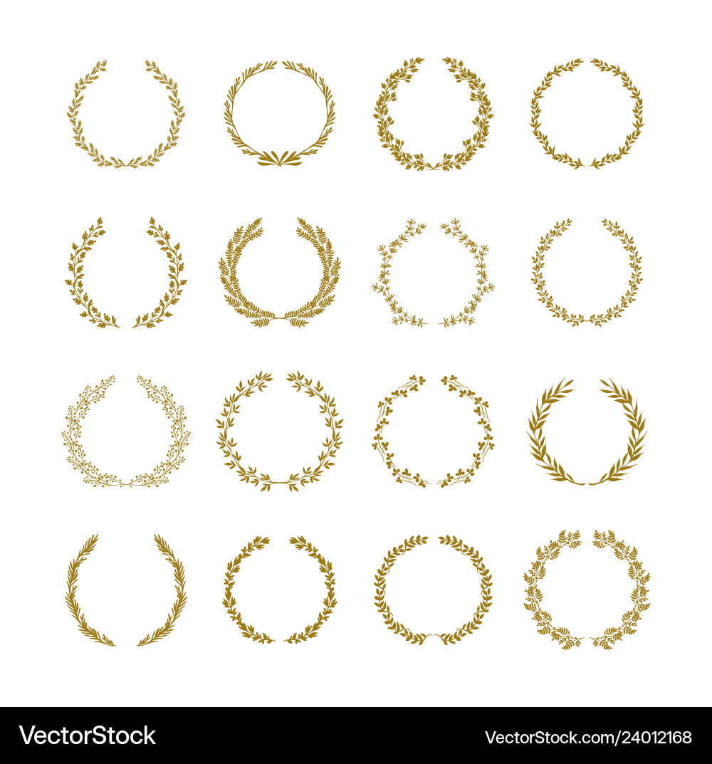Gold laurel foliage wreath set Gold laurel foliage wreath set vector image