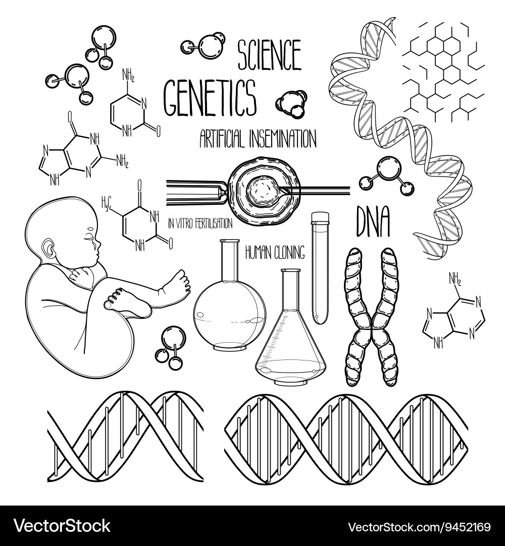 Genetic research set Royalty Free Vector Image