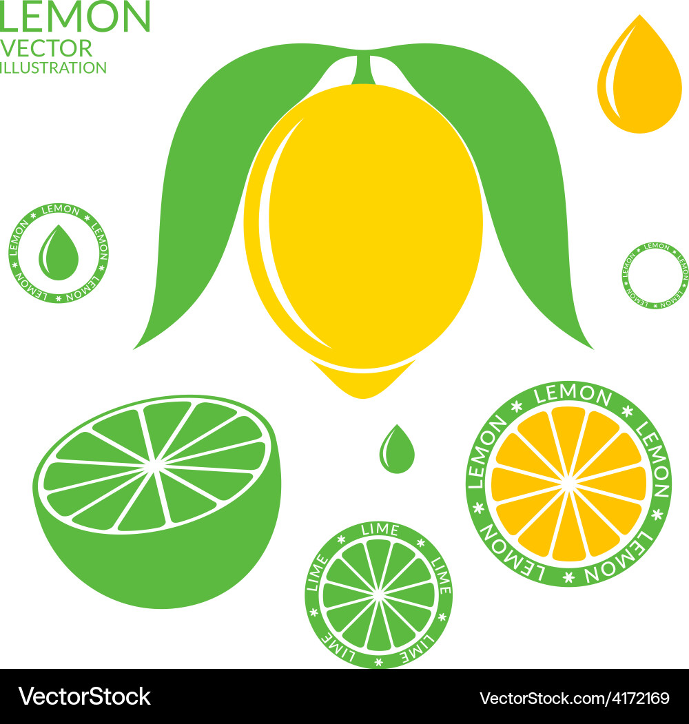 Lemon Lime Slice Set Vector Image