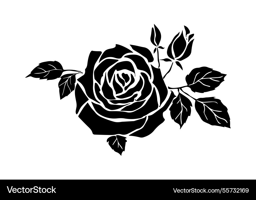 Schwarze Silhouetten der dekorativen Rose monochrom Schwarze Silhouetten der dekorativen Rose monochrom vektorbild