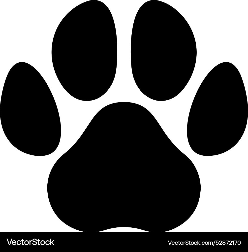 Dog Paw Prints vector image