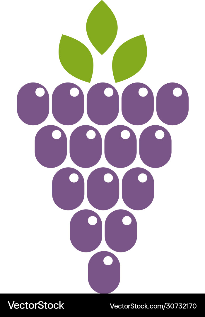 Grape icon design Vector Image
