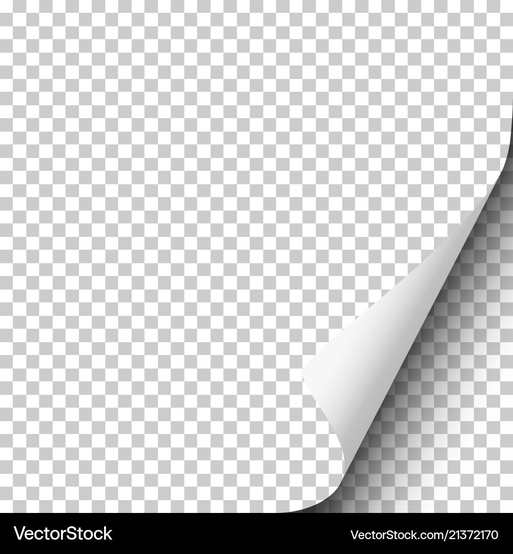 Page Curl with Shadow vector image