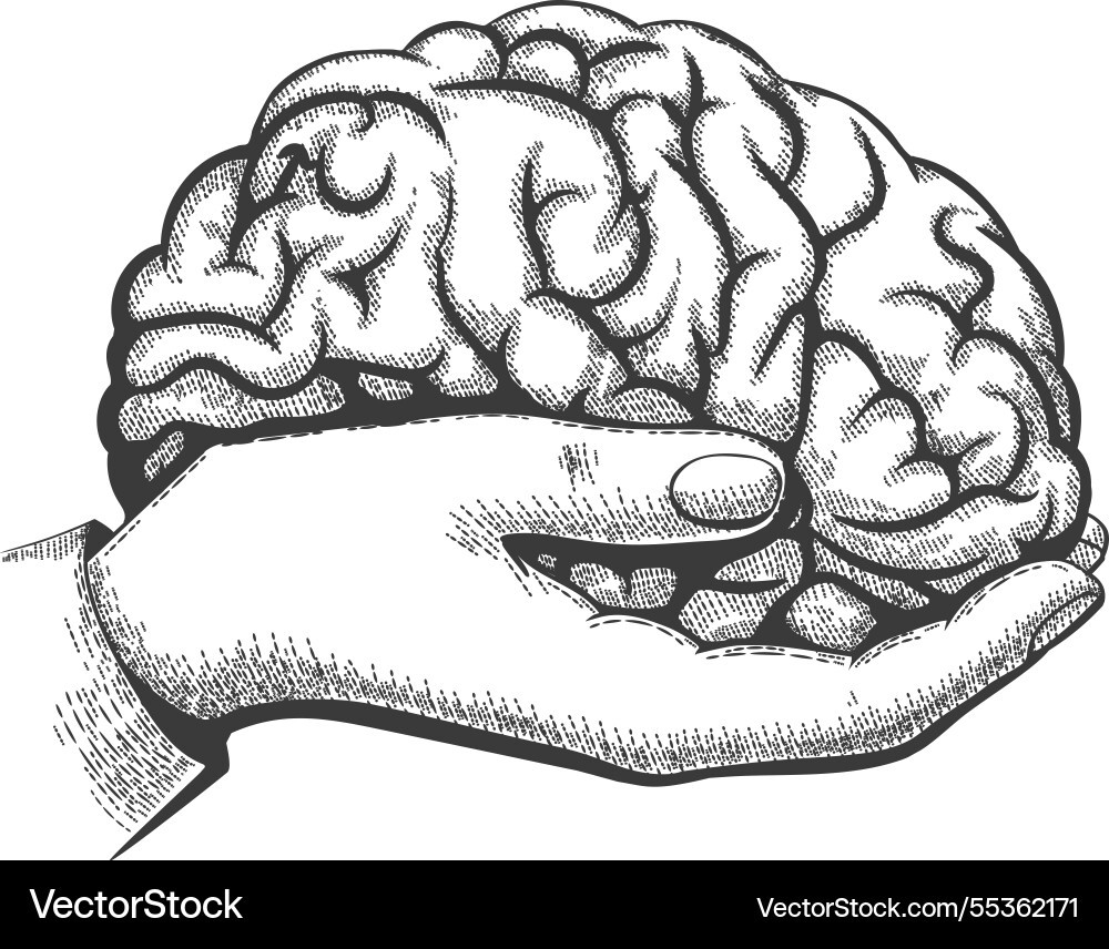 Engraving hand holding human brain Royalty Free Vector Image