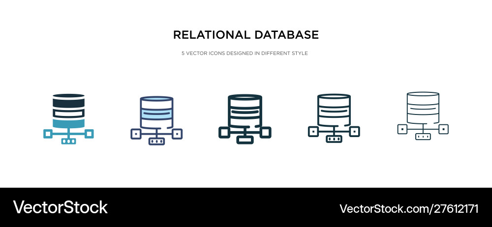 Relational database management system icon Vector Image