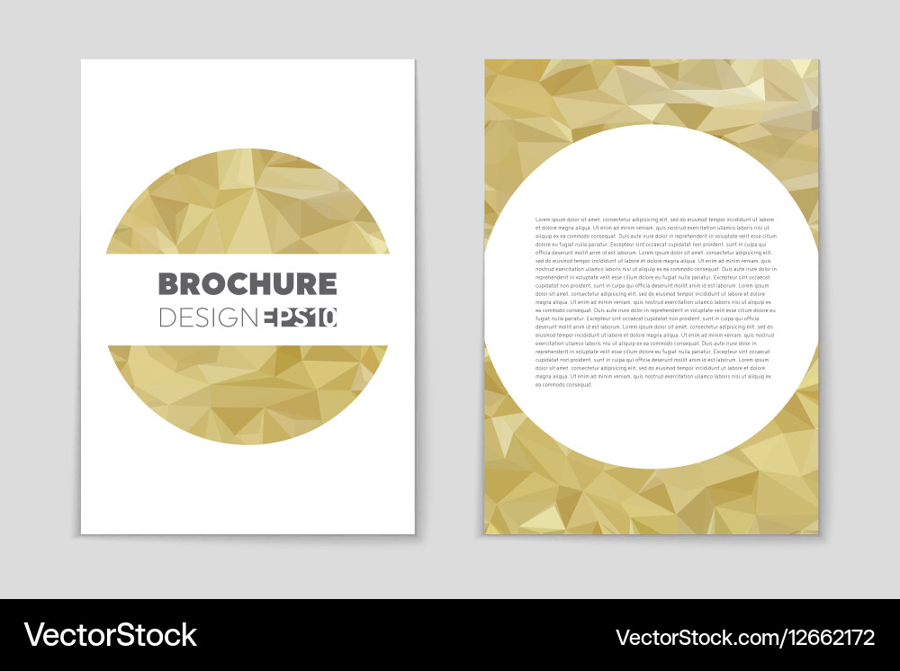 Abstract layout background set for art vector image