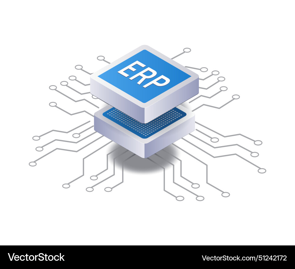 Development of erp business networks infographics vector image