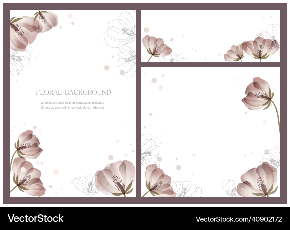 Set of floral backgrounds with text space Set of floral backgrounds with text space Vector Image