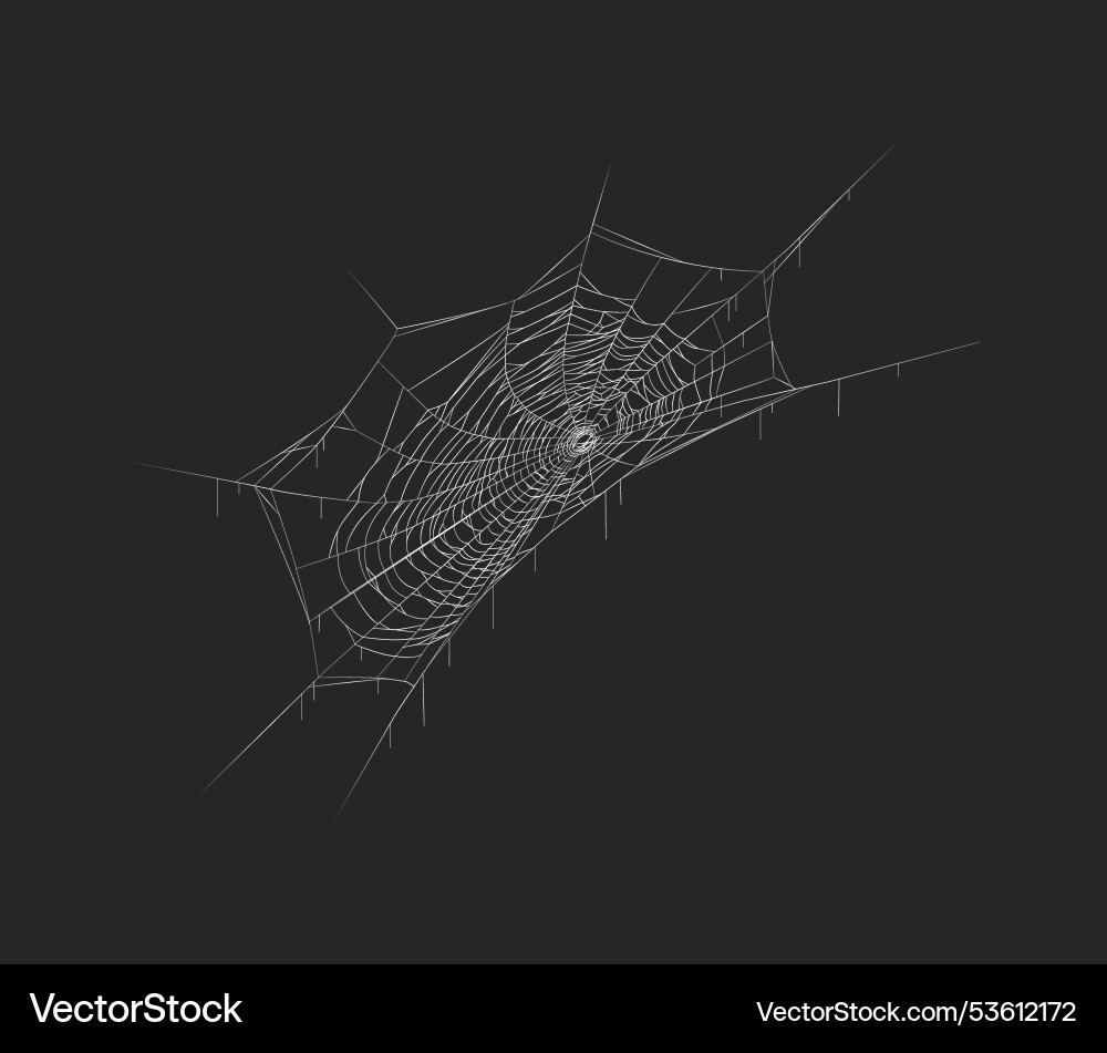 Spiderweb abstract pattern in dark space realistic Spiderweb abstract pattern in dark space realistic vector image