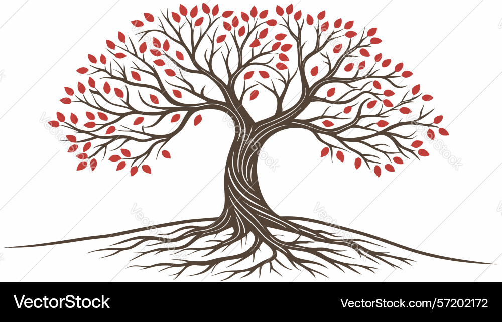 Tree with exposed roots for natural themes design Vector Image