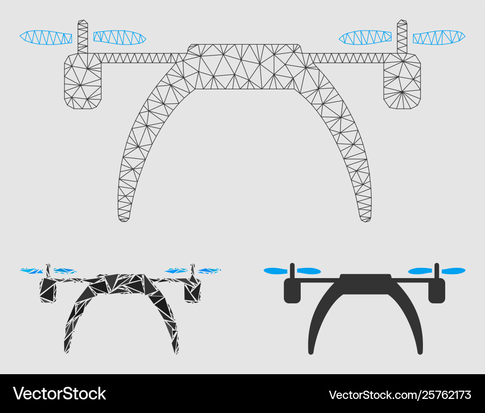 Copter mesh carcass model and triangle Copter mesh carcass model and triangle vector image