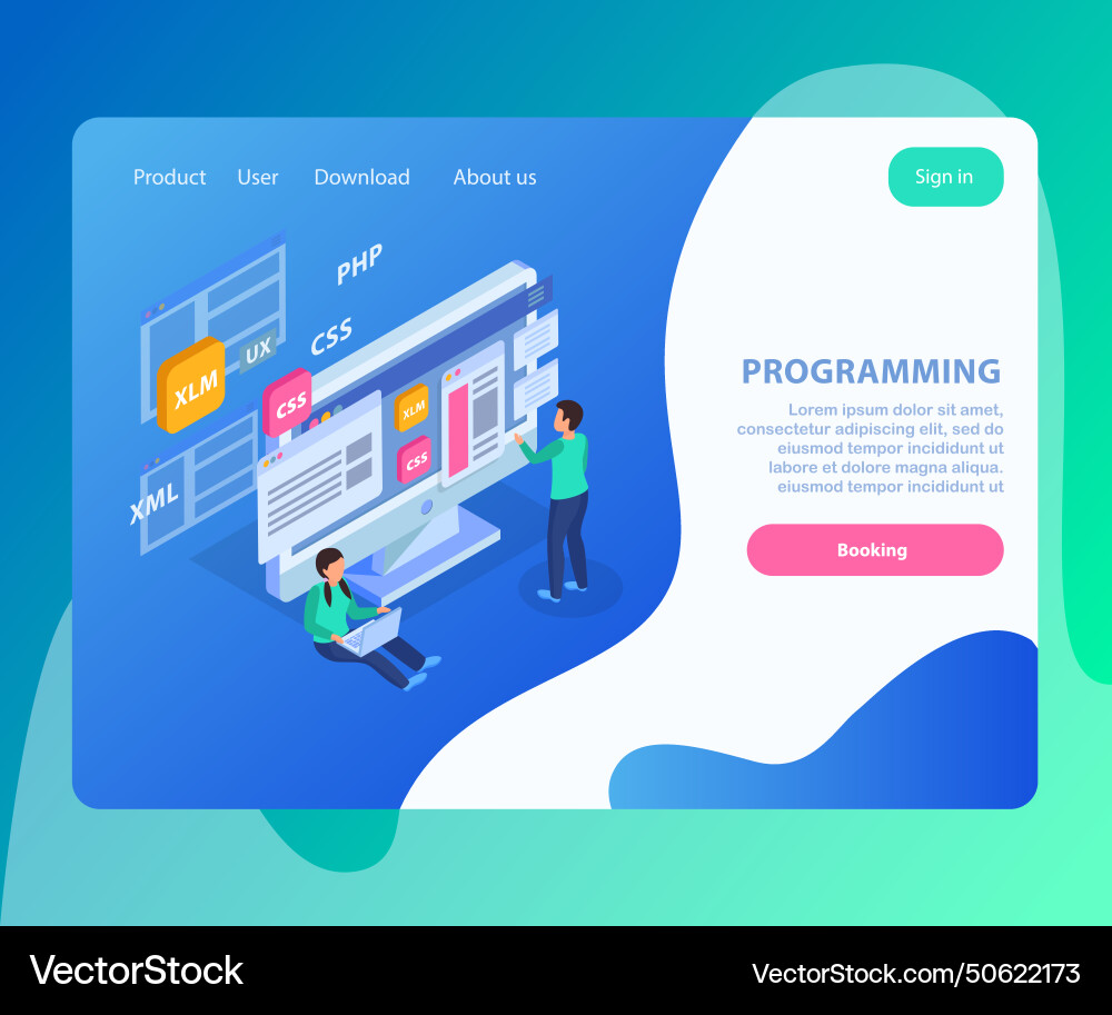 Programming landing page design Vector Image
