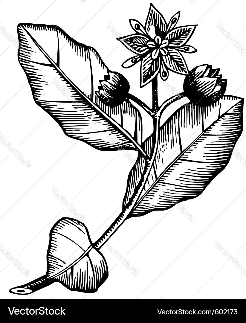 This image is a and can be scaled to any size vector image