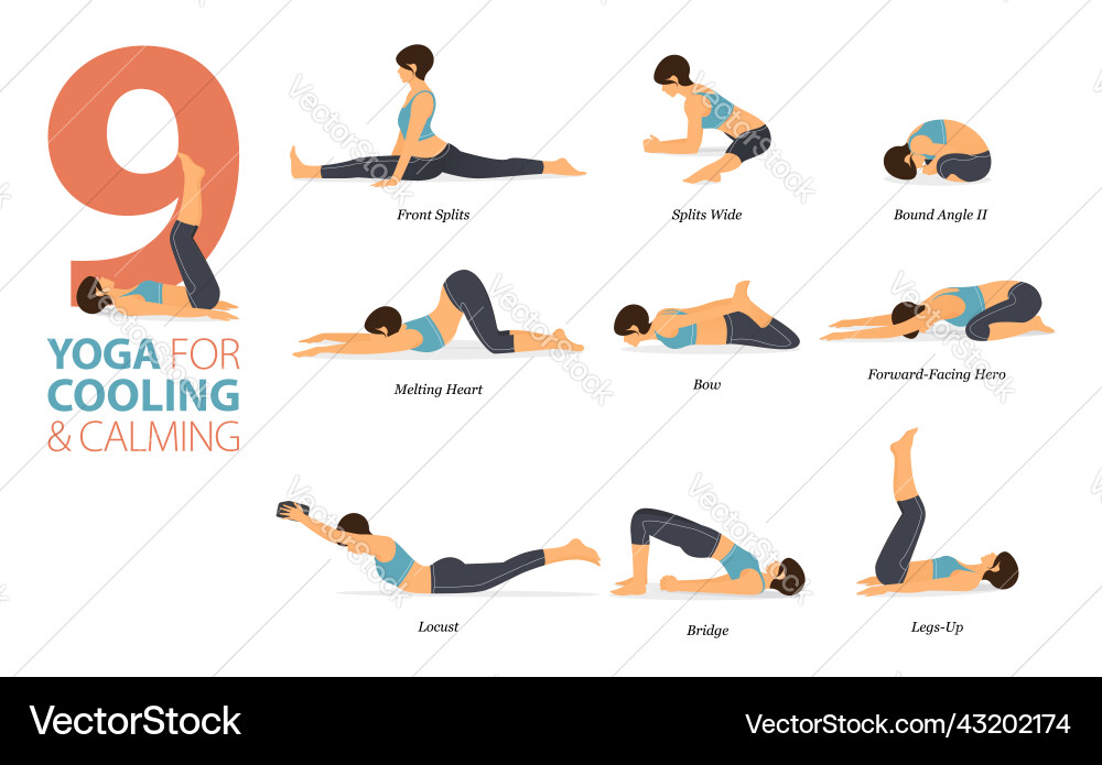 9 Yoga Poses for Calm & Fitness vector image
