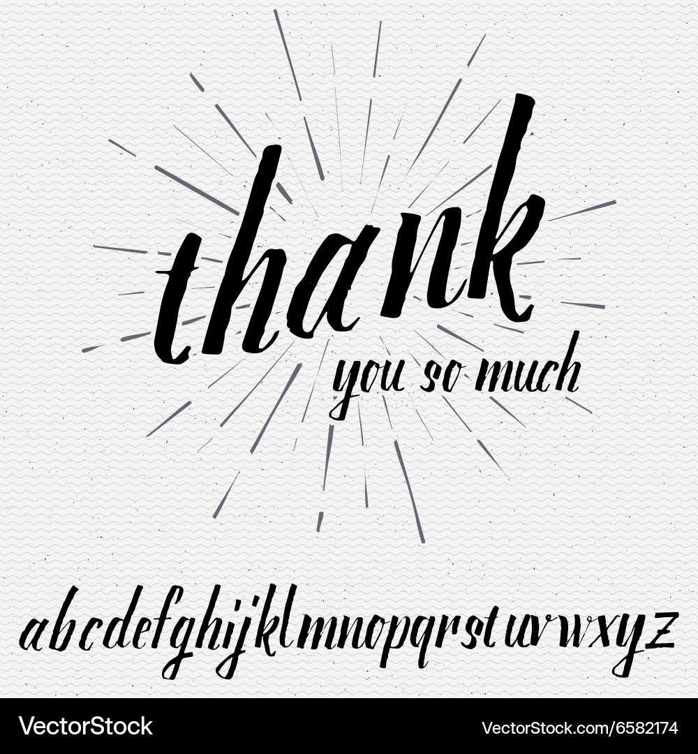Elegant Script Font - Calligraphic Lettering vector image
