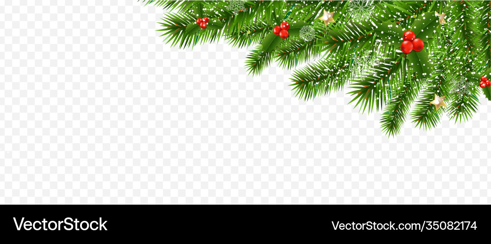 Fir Baumgrenze mit holly berry transparent Fir Baumgrenze mit holly berry transparent vektorbild