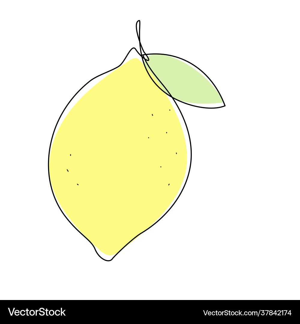 Lemon with leaf in continuous line drawing Lemon with leaf in continuous line drawing vector image