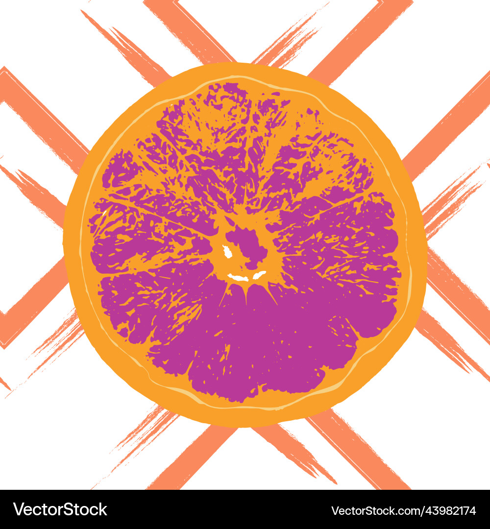 Seamless pattern with set of citrus slices Vector Image