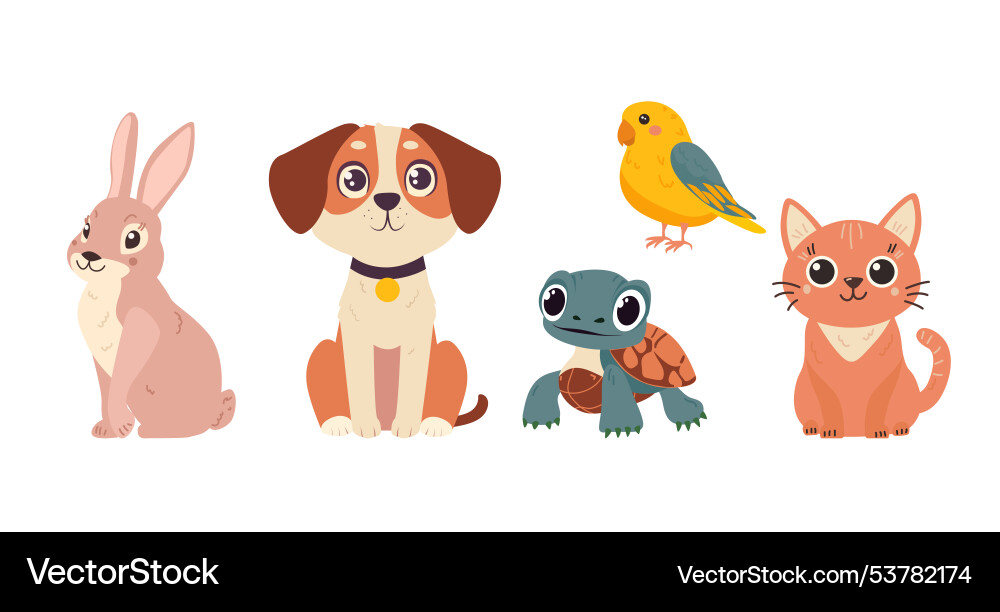 Set with pets cat dog parrot rabbit turtle Vector Image