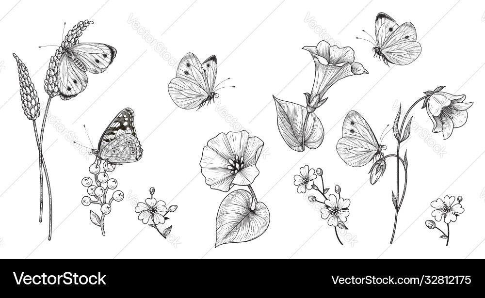 Hand drawn monochrome wild flowers Hand drawn monochrome wild flowers vector image
