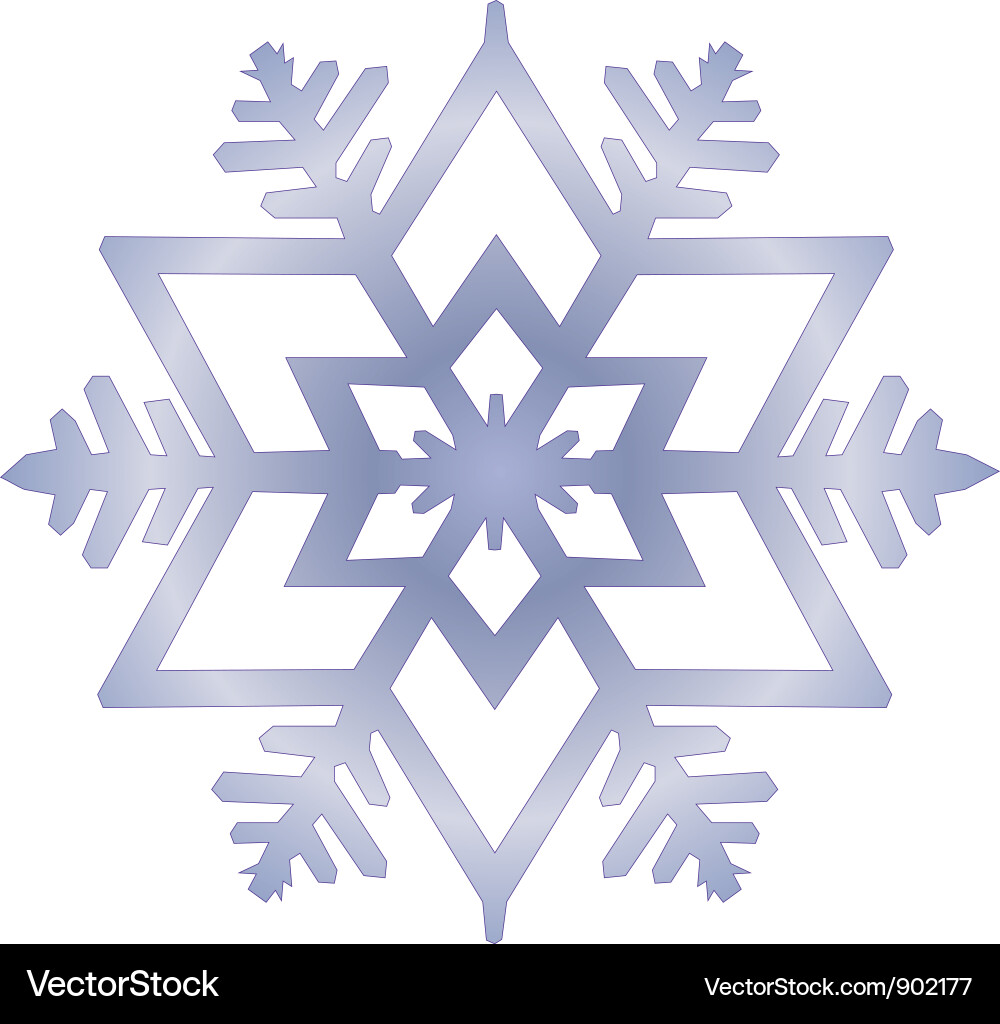 Snowflake Vector Image