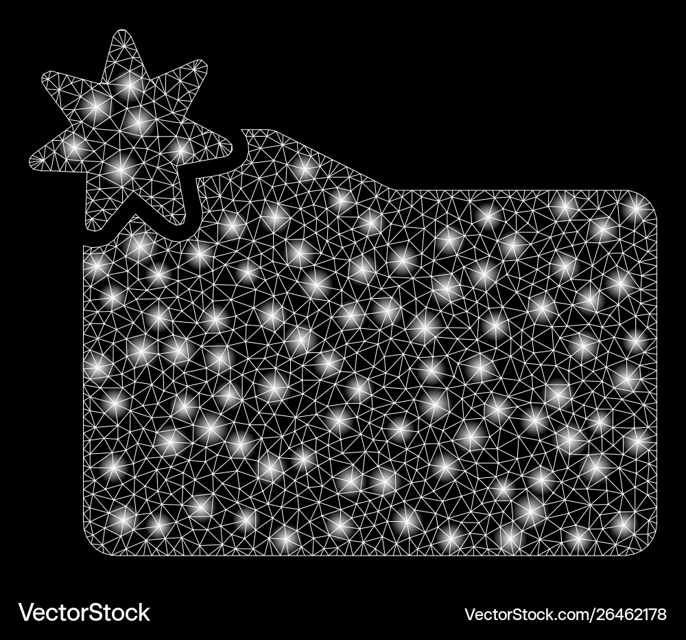 Flare mesh network new folder with spots vector image