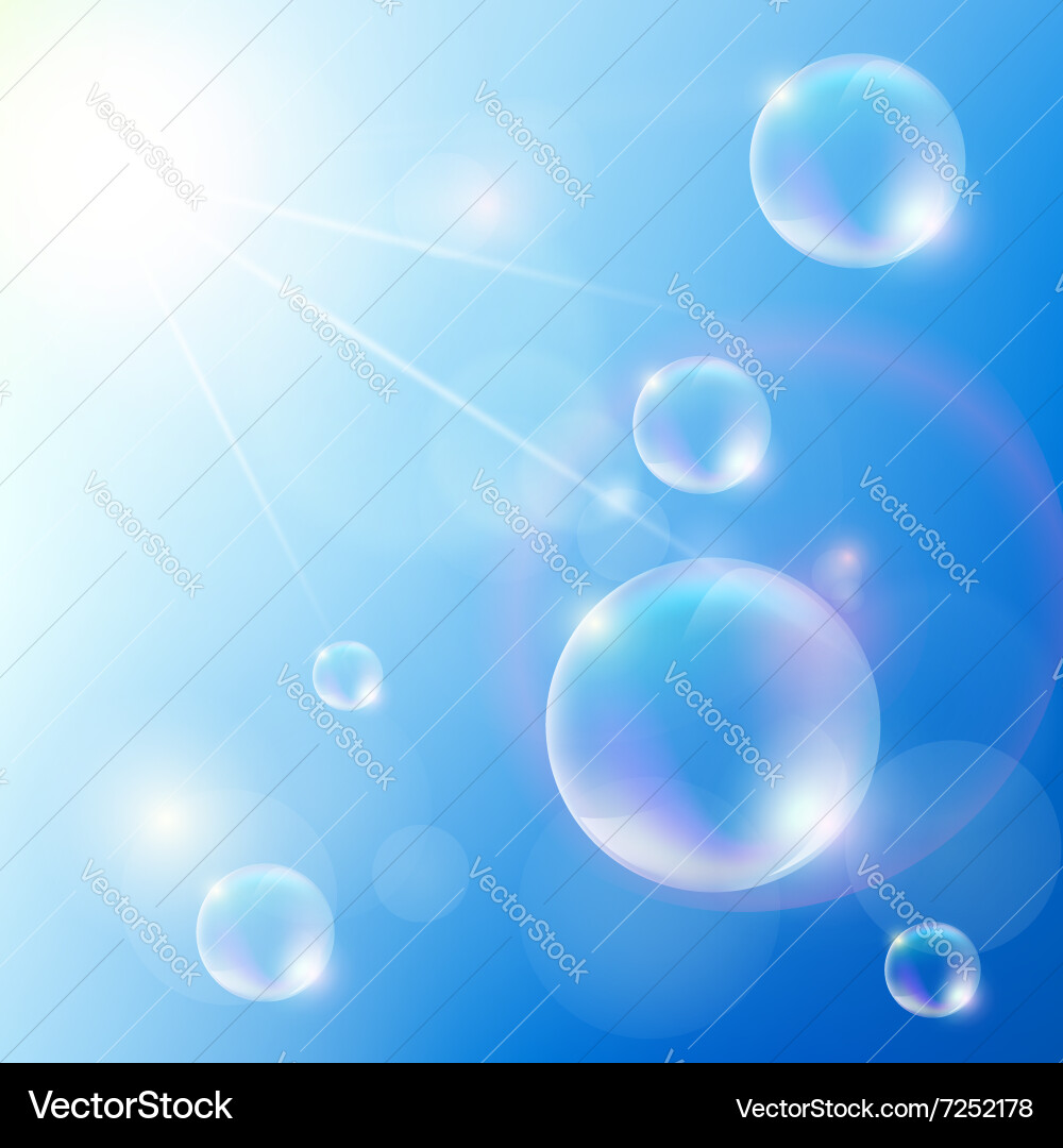 Soap bubbles stock Royalty Free Vector Image - VectorStock