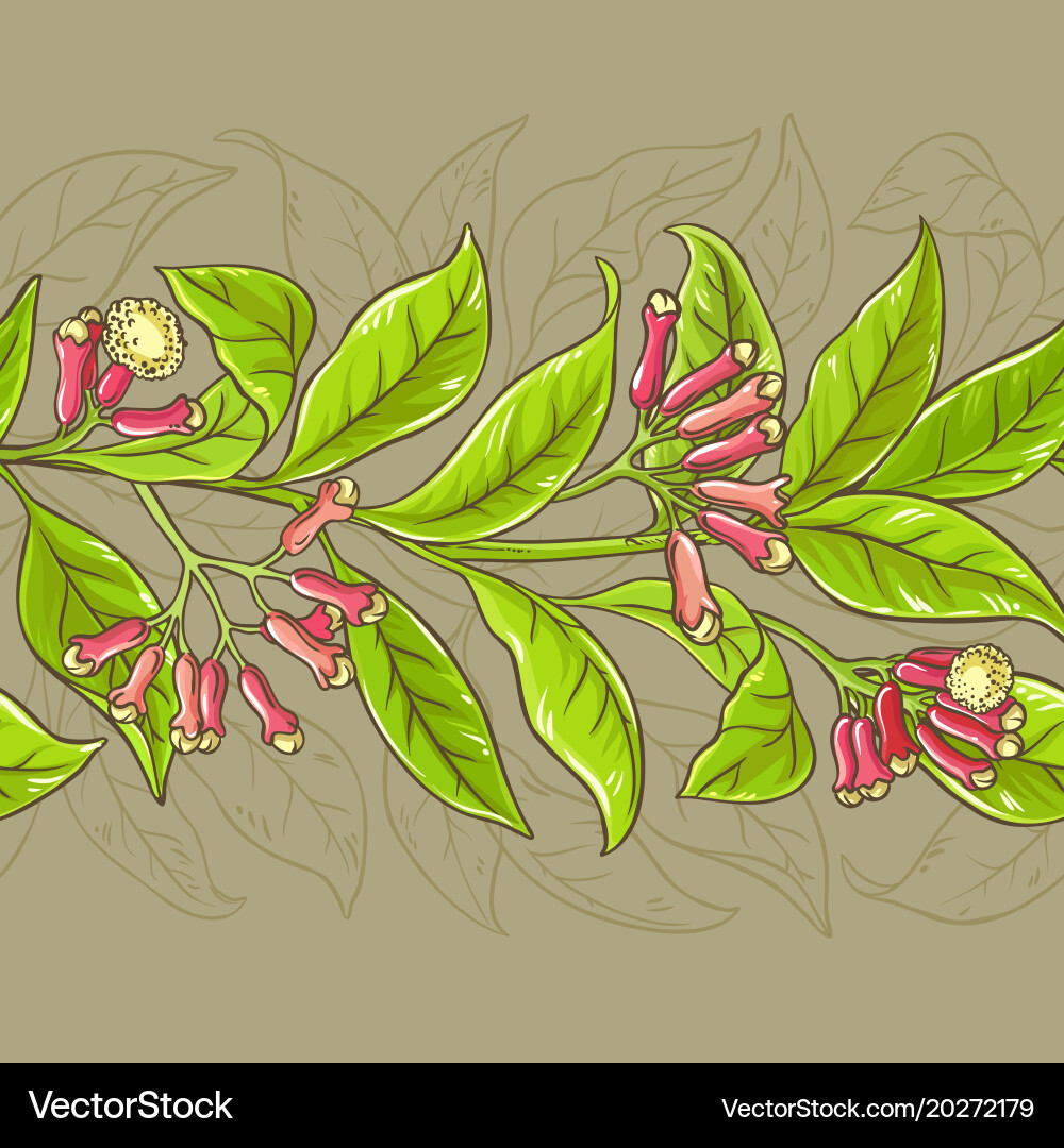 Clove pattern Royalty Free Vector Image - VectorStock