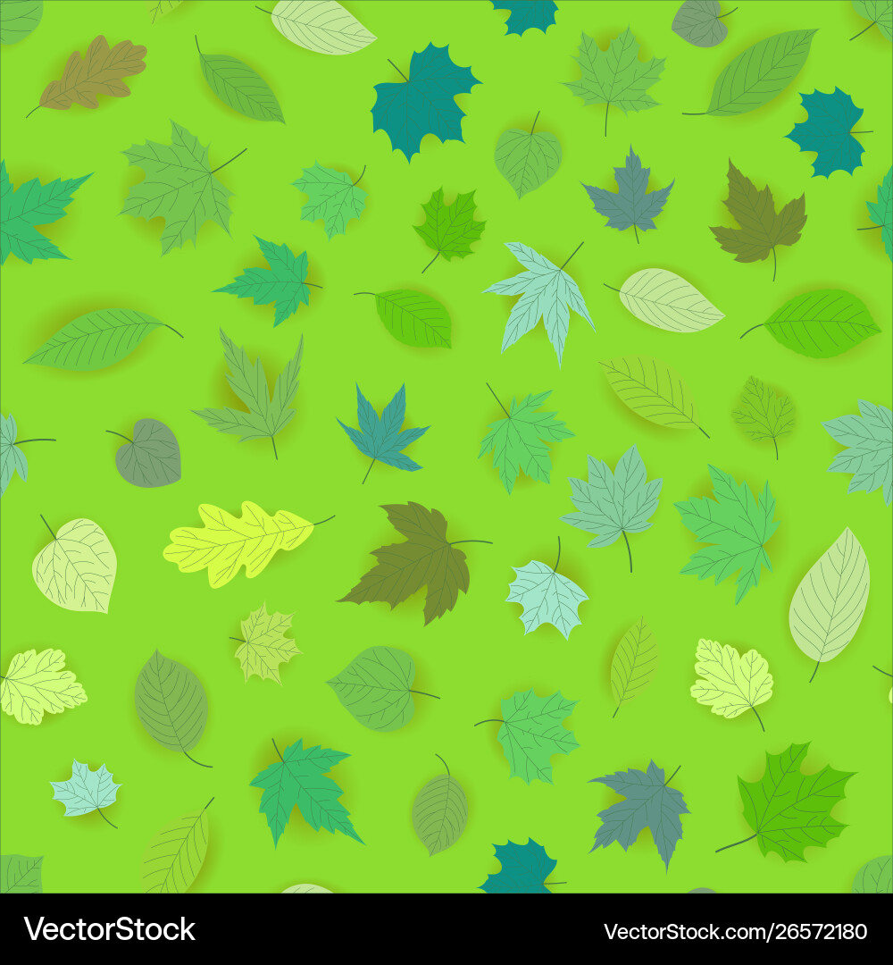 Spring Leaves Pattern Vector Image