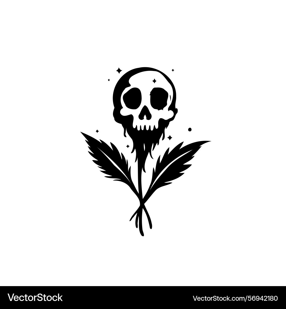 Stylized skull and feather with a hint Vector Image