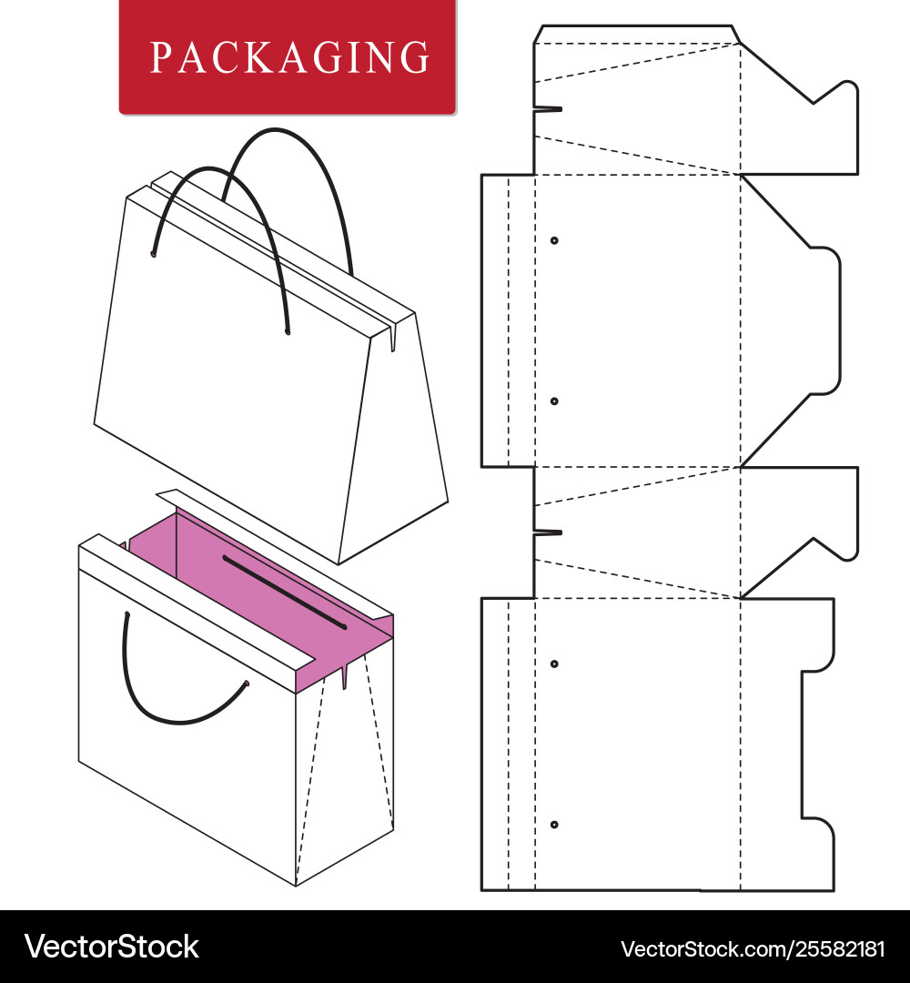 Boxpackage template isolated vector image